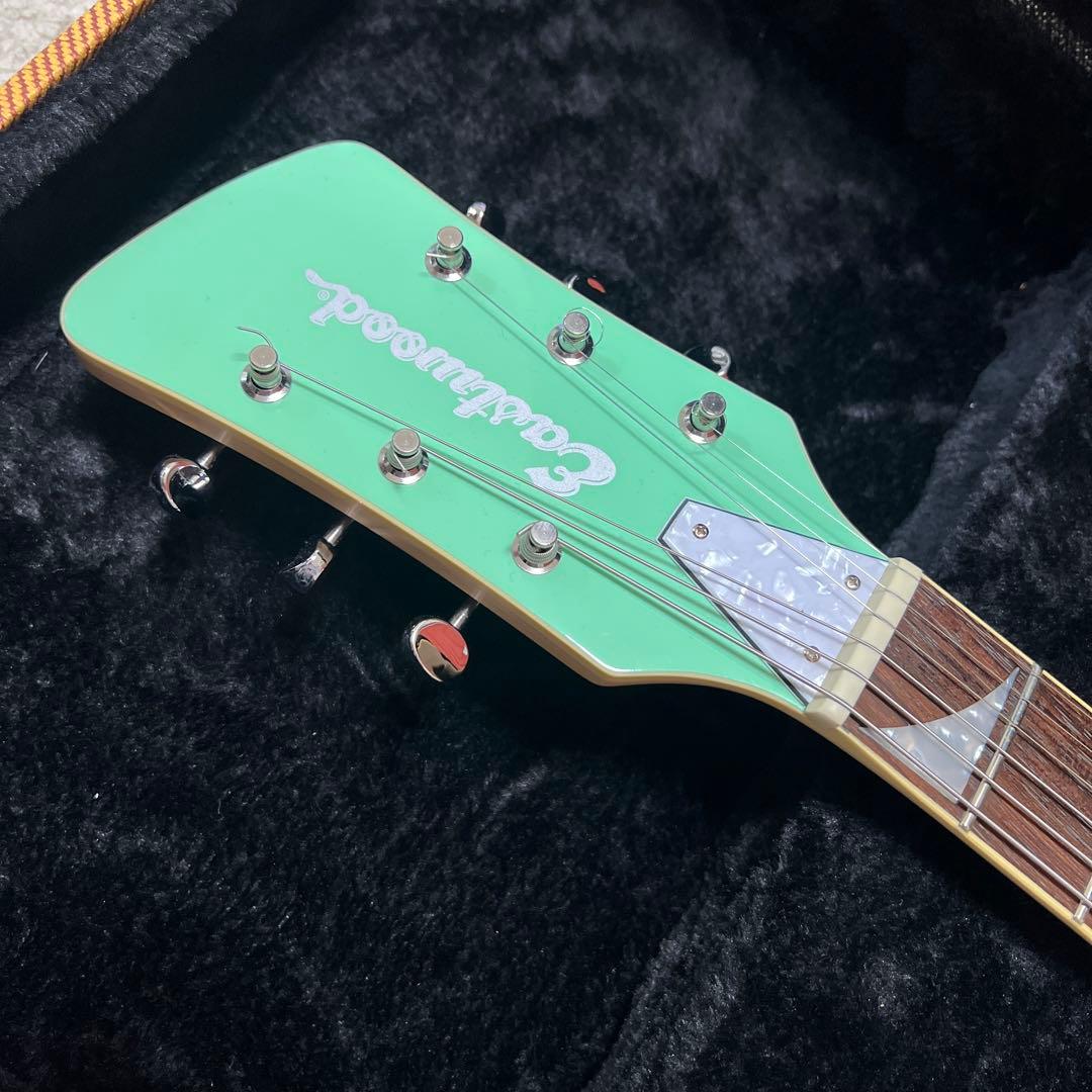 Eastwood Surfcaster サーフキャスターモデル