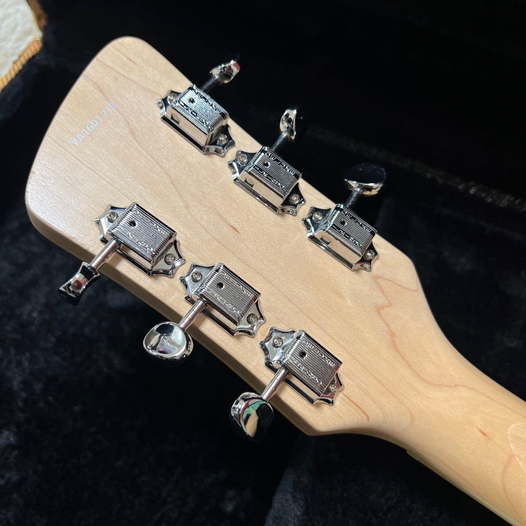 Eastwood Surfcaster サーフキャスターモデル