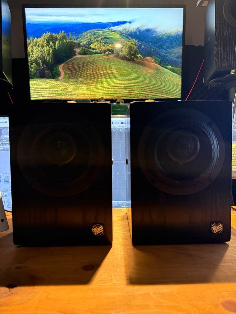 musikelectronics geithain RL906 ペア連番