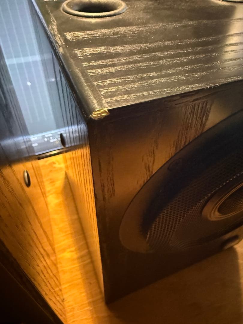 musikelectronics geithain RL906 ペア連番