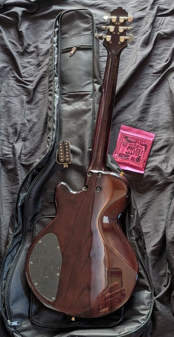 FUJIGEN・エレキギタ★SEYMOUR DUNCAN