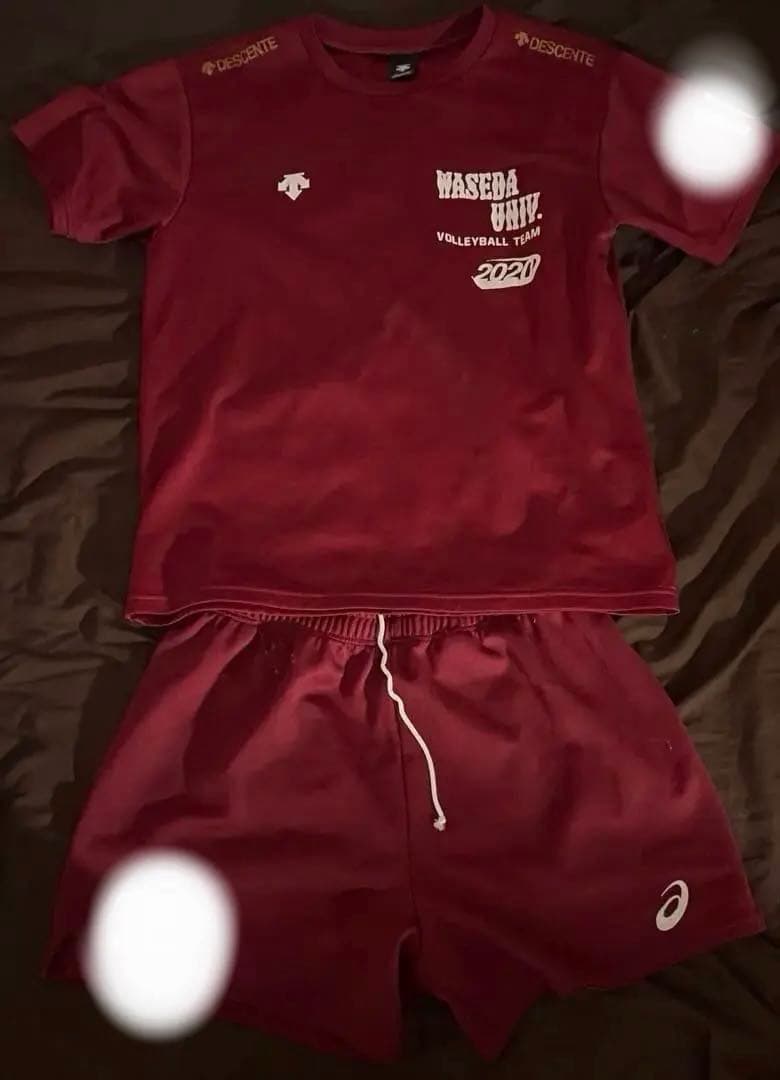 早稲田大学 男子バレーボール部 Tシャツ ユニホームゲームパンツ セット