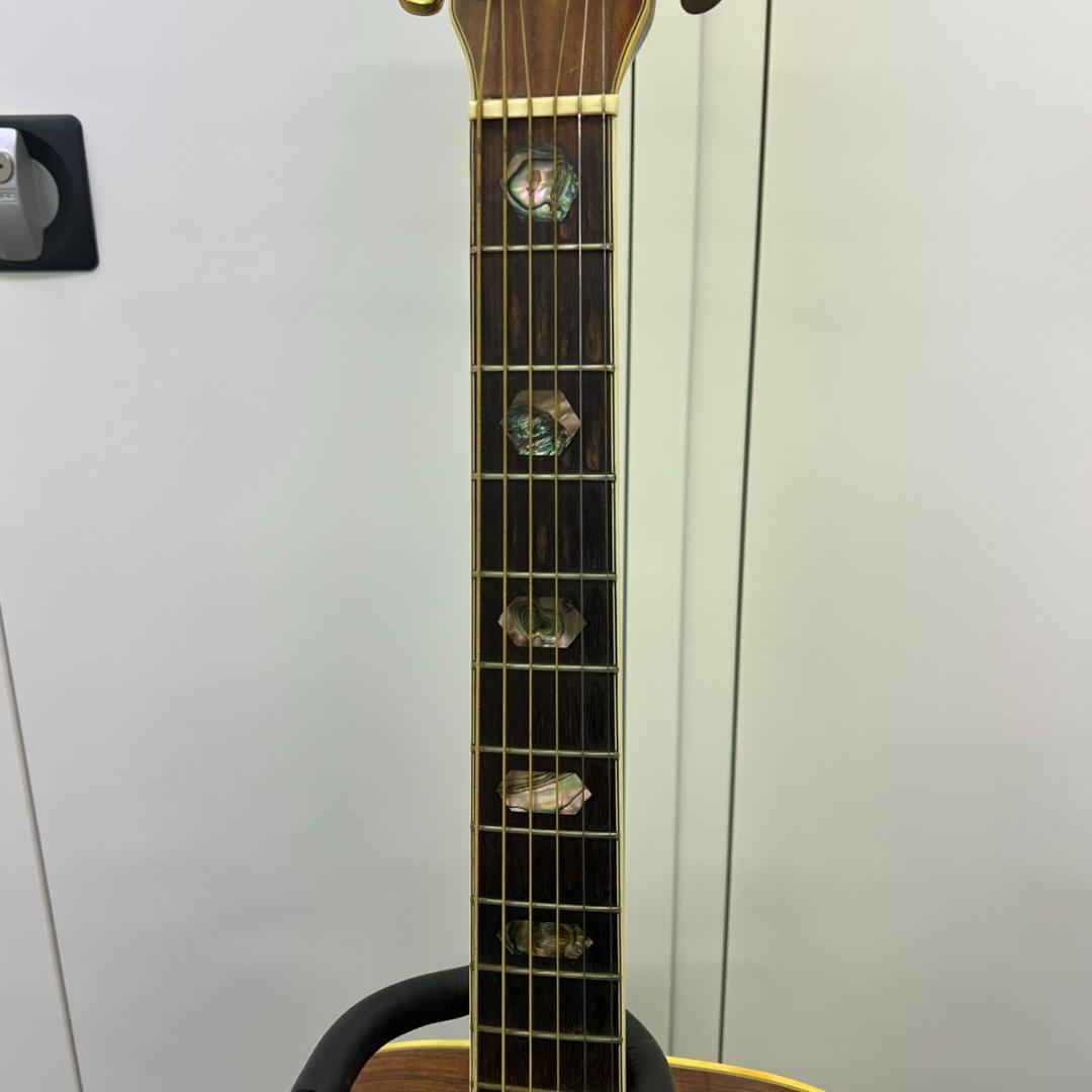 766173/YAMAHA MORALES M-100 アコースティックギター