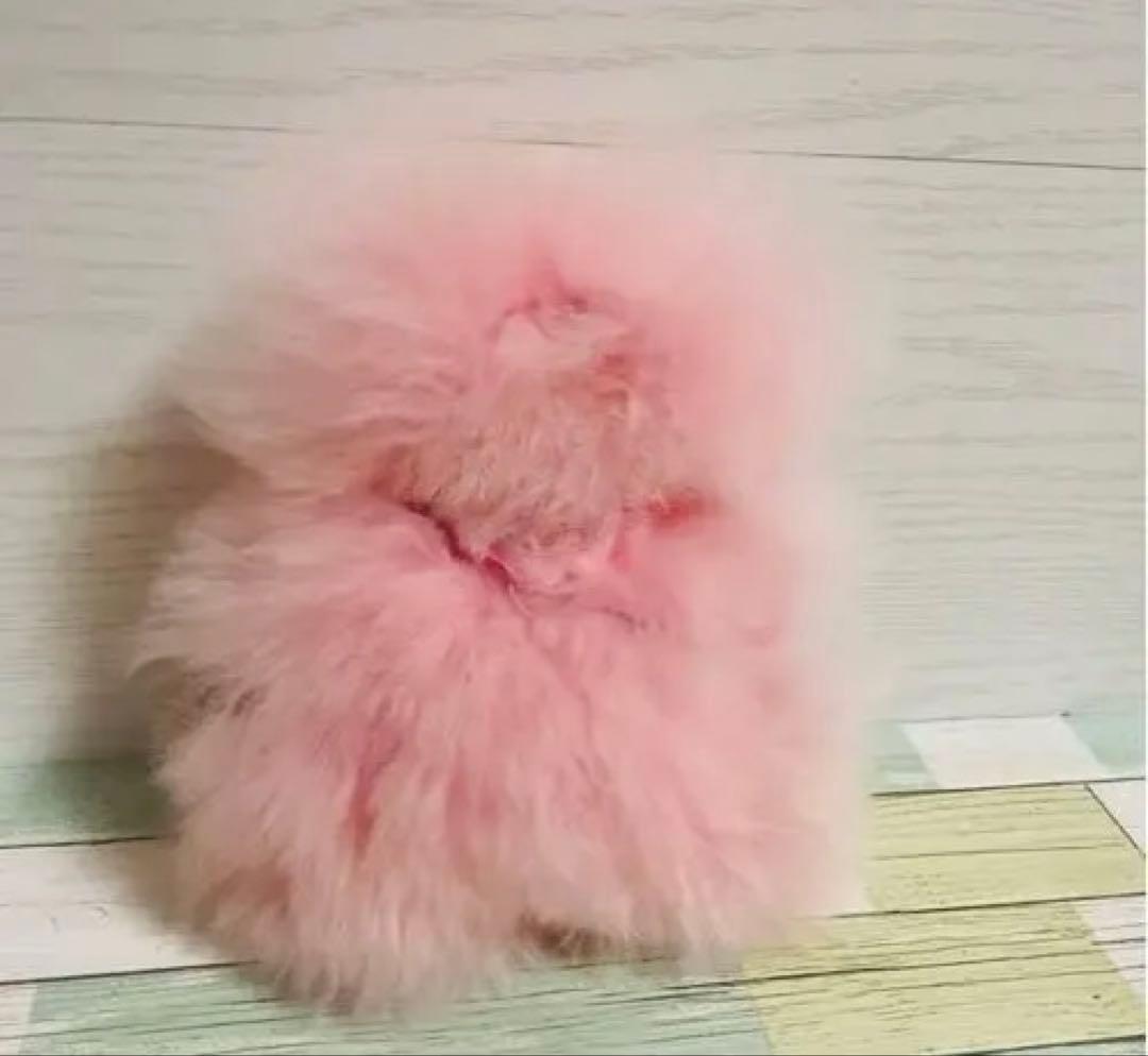 【ベビーアルパカ専門店fuwari】ぬいぐるみ（くま）【サーモンピンク】