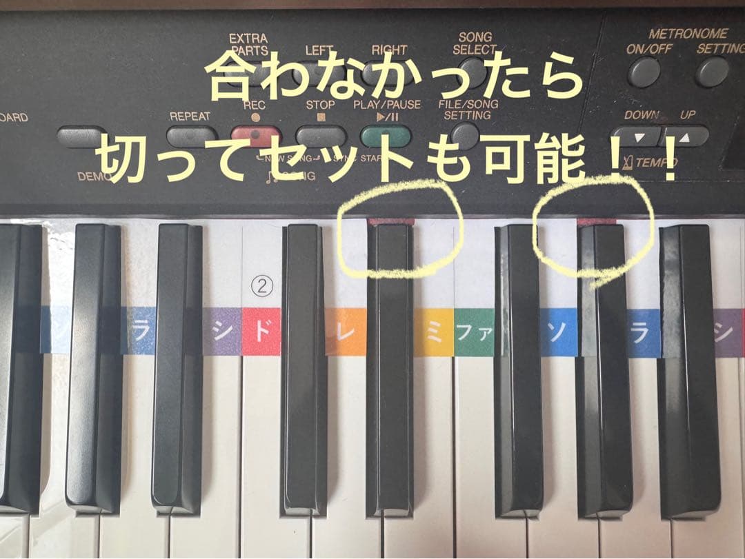 鍵盤ドレミカード（61鍵分）3枚組×10セット【まとめ買い1000円お得！】