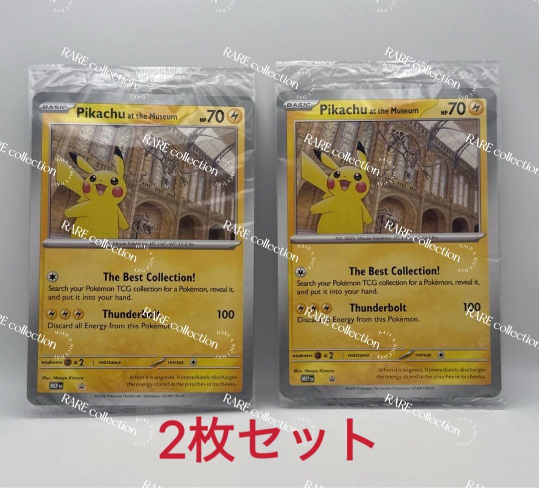 2枚Pikachu at the Museum ピカチュウ ロンドン自然史博物館