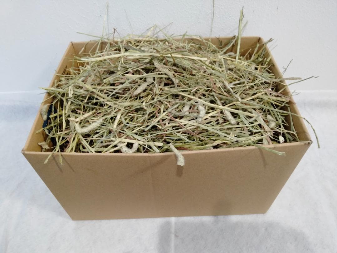 (2/23まで) カナダ産 チモシー 120kg スーパープレミアム １番刈