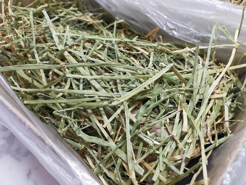 (2/23まで) カナダ産 チモシー 120kg スーパープレミアム １番刈