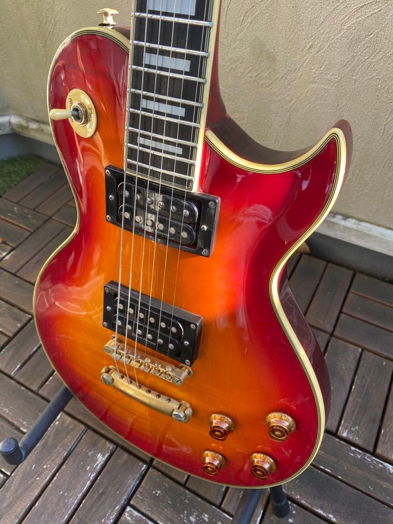 ギター Aria proII PE-DLX