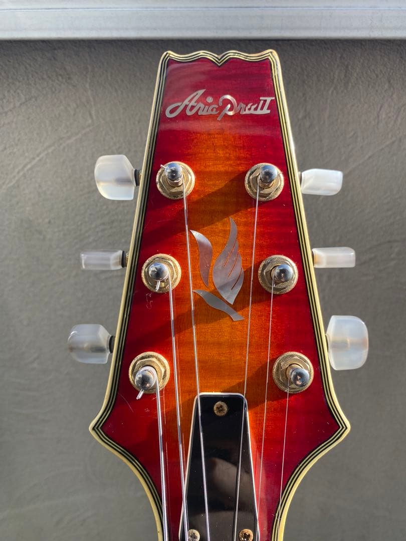 ギター Aria proII PE-DLX