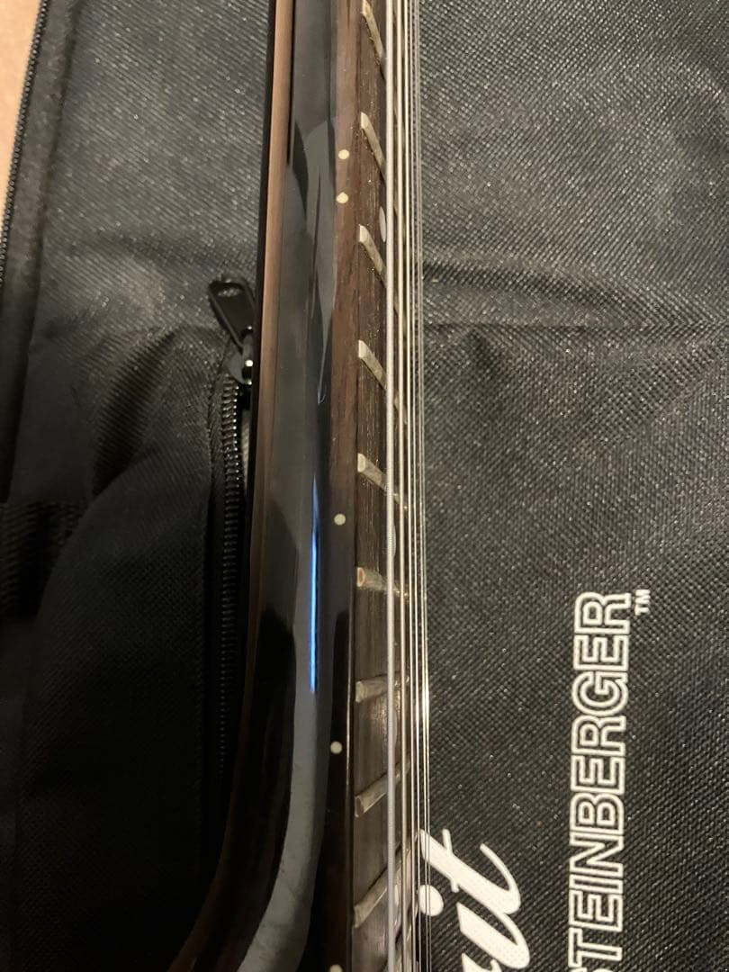 プ*ン様 【土日のみ発送】STEINBERGER Spirit GT-PRO D