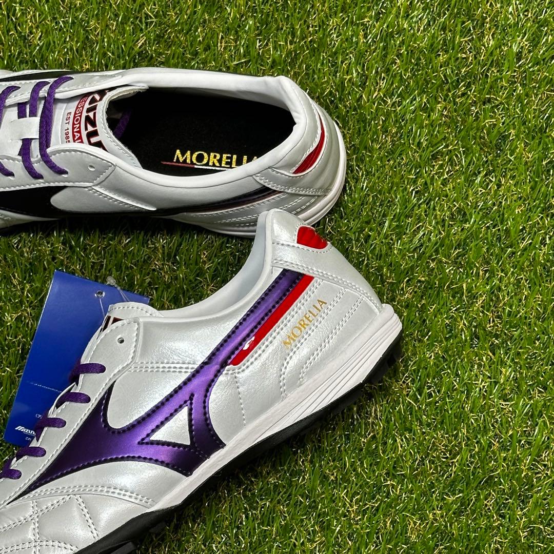 【ま〜や様】ミズノ　モレリアTF　25.0㌢　ペイントカスタムモデル