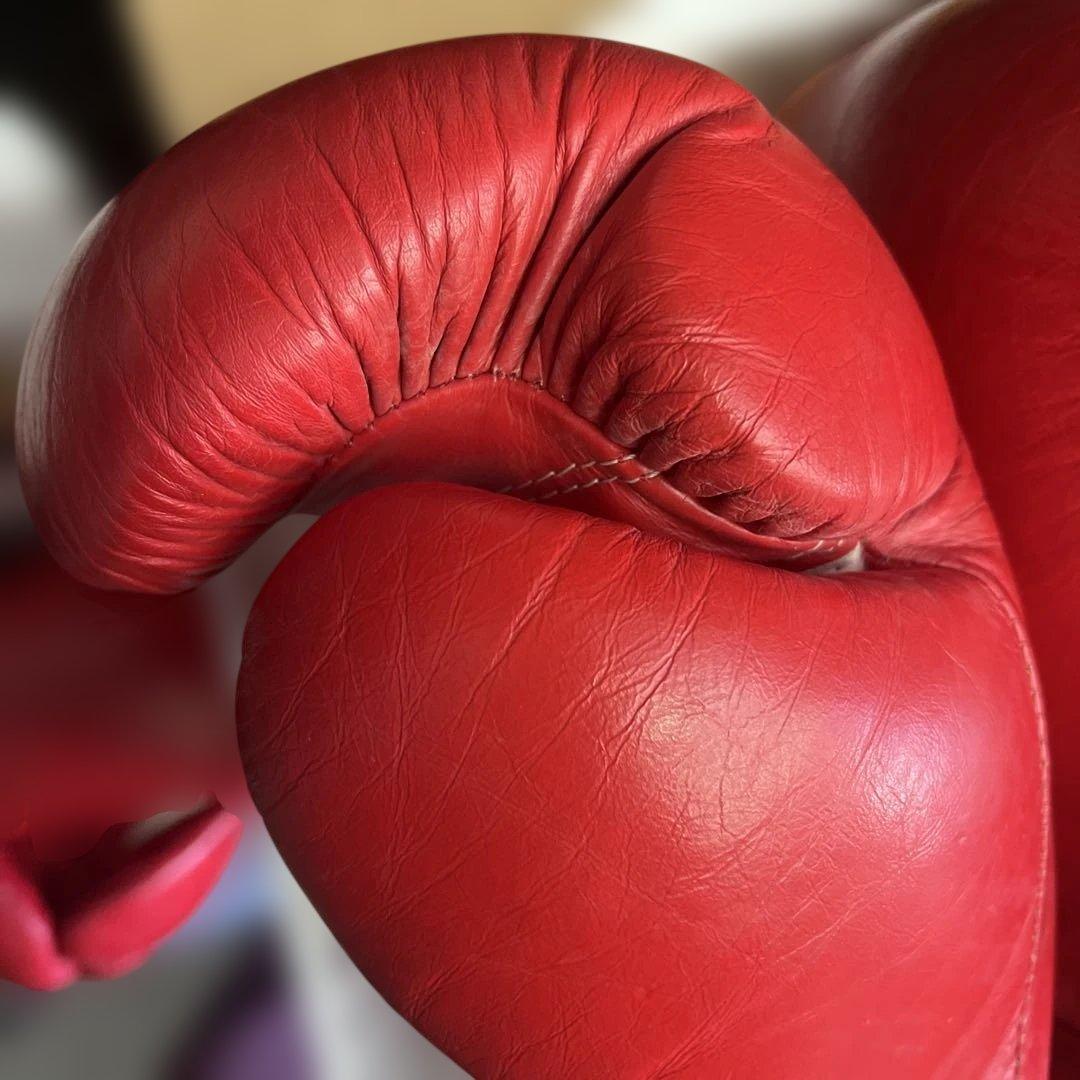 WINDY ボクシンググローブ 16oz レッド