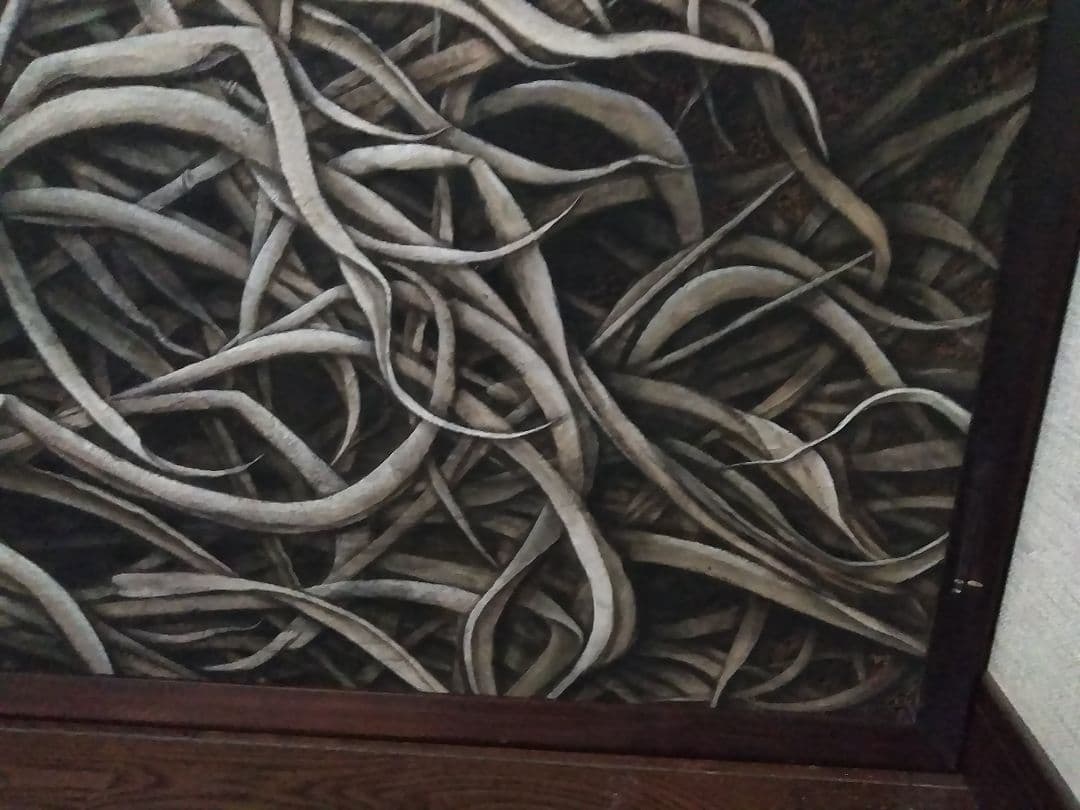 日本画(33)　すすき