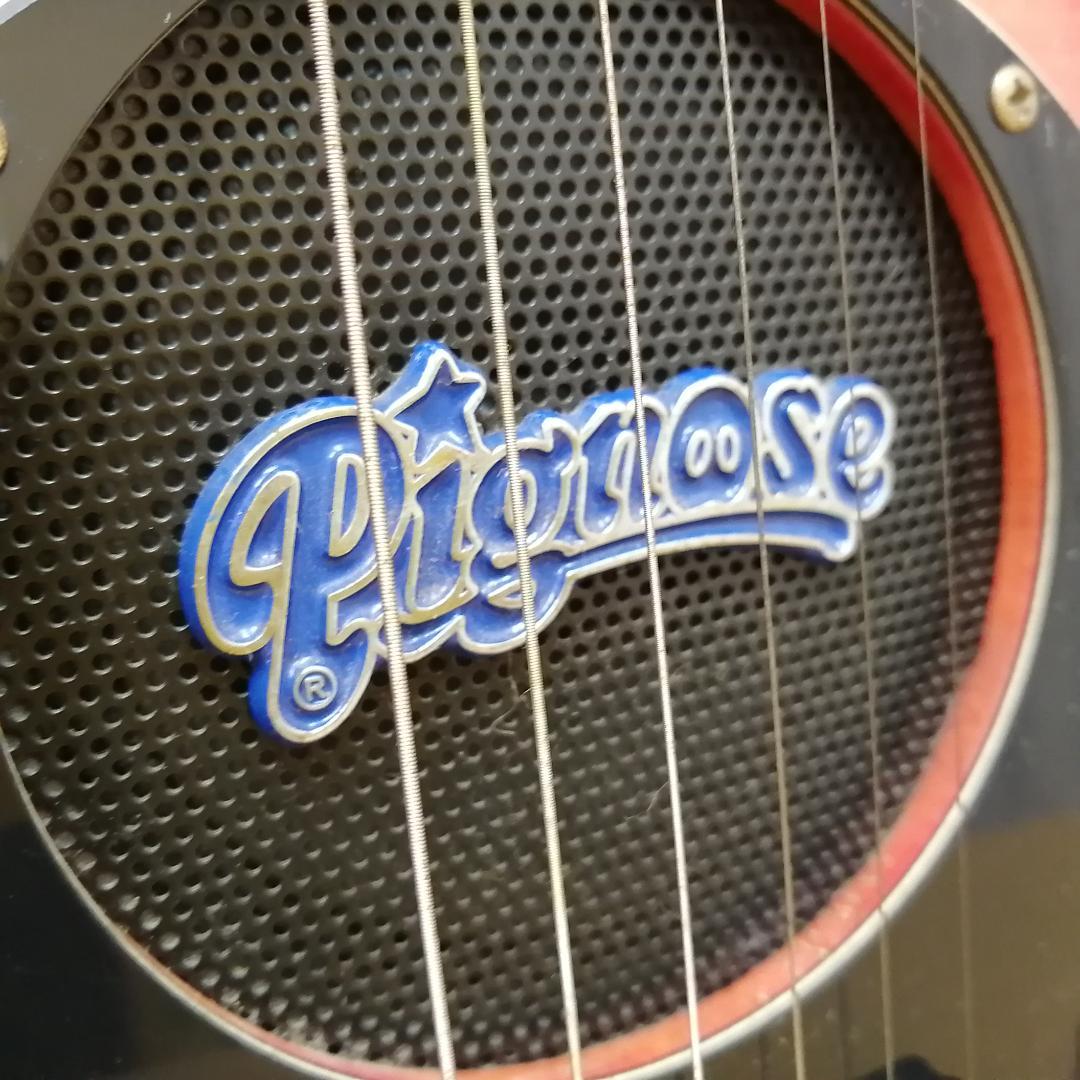 Pignose　ピグノーズ　アンプ内蔵　ミニエレキギター　PGG-200FM