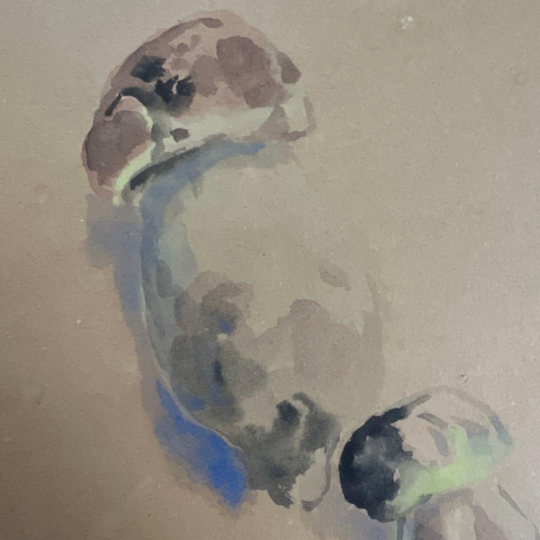 丸山晩霞　水彩画 約30cm x 40cm 木製フレーム