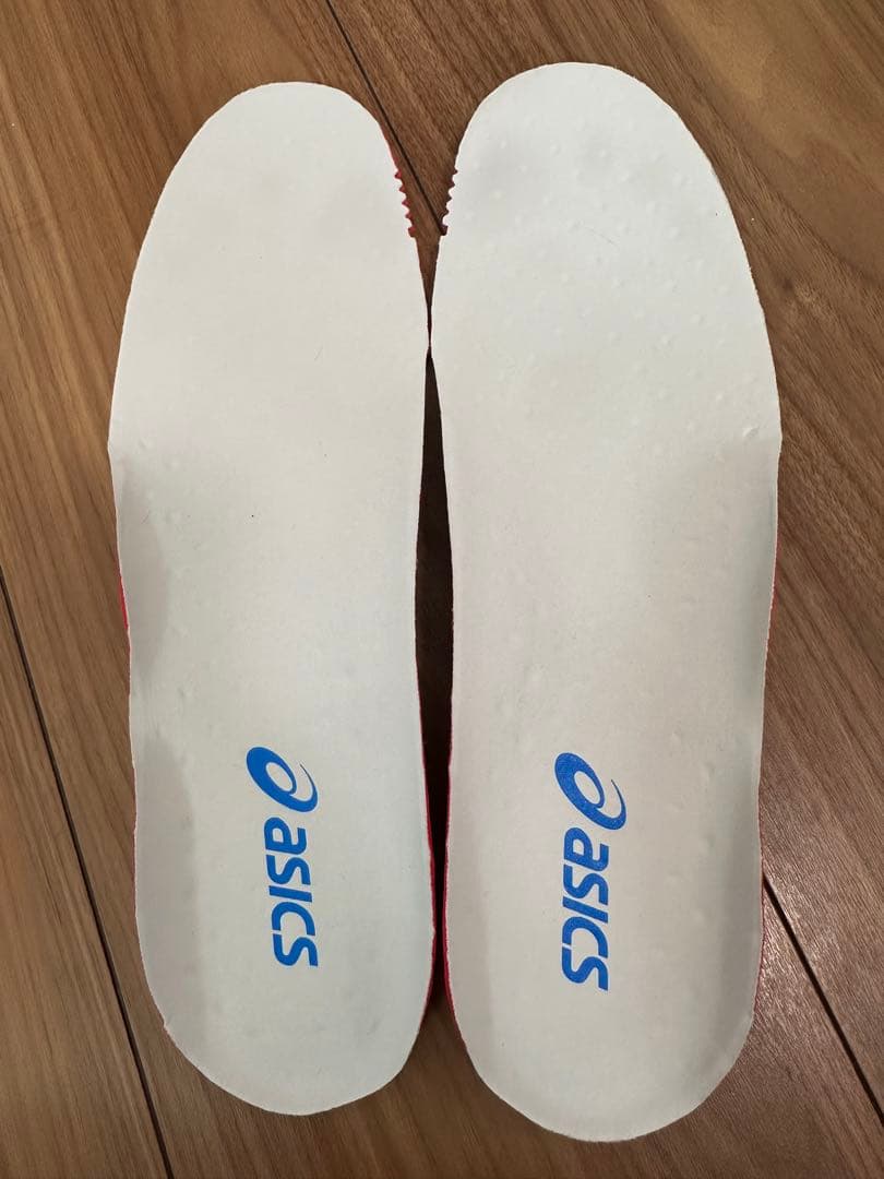 アシックスDS LIGHT X-FLY PRO 3 27.0cm