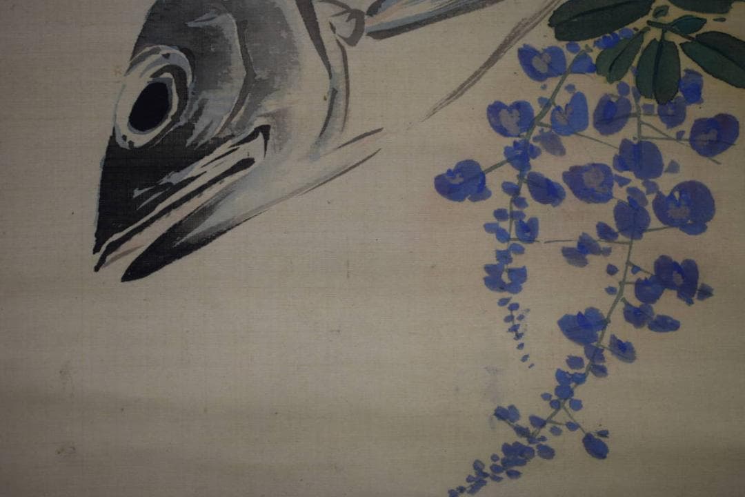 模写/松村景文/五月/人物/カツオ/小禽/藤/桐題箱付/布袋屋掛軸A-39