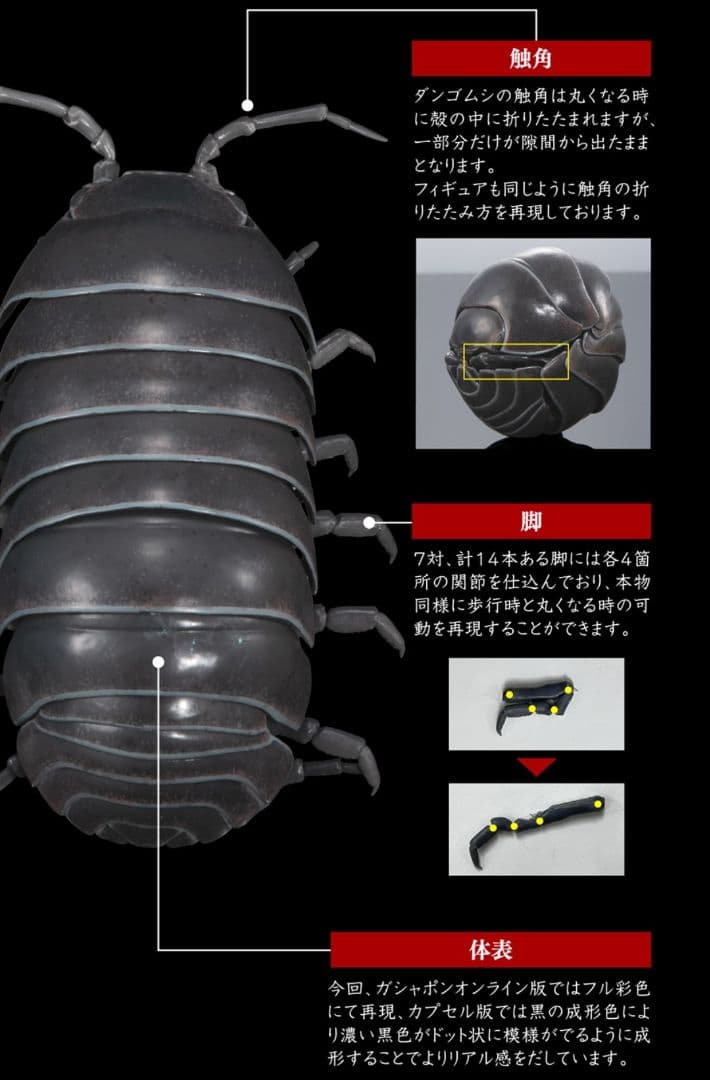 オンライン限定 いきもの大図鑑 ダンゴムシ（重塗装版） 全3種 コンプセット