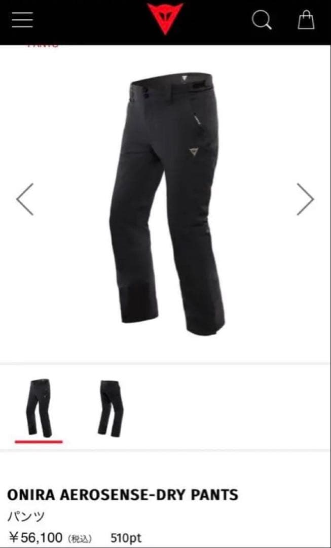 ダイネーゼ　スキーパンツ　大きいサイズ