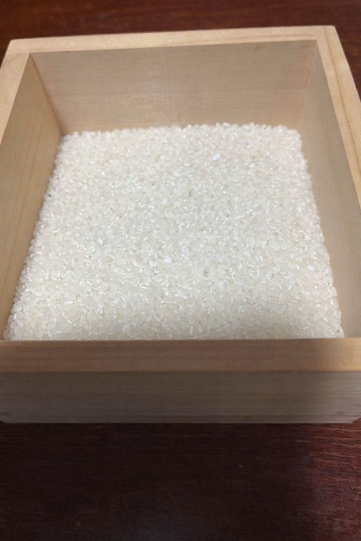 令和7年度産　山口県産（新米）10kg 恋の予感　白米/玄米　農家直送　送料無料