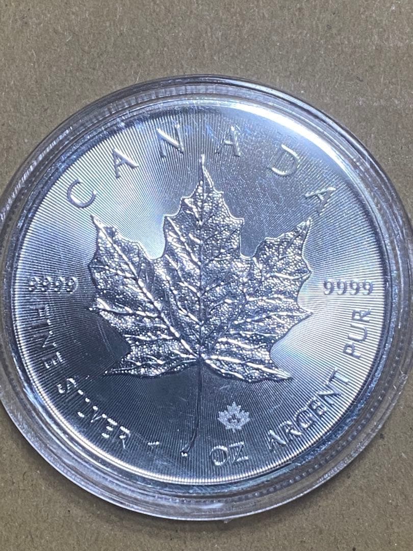 2023年 カナダ メイプルリーフ銀貨 1オンス(純銀) カプセル付き
