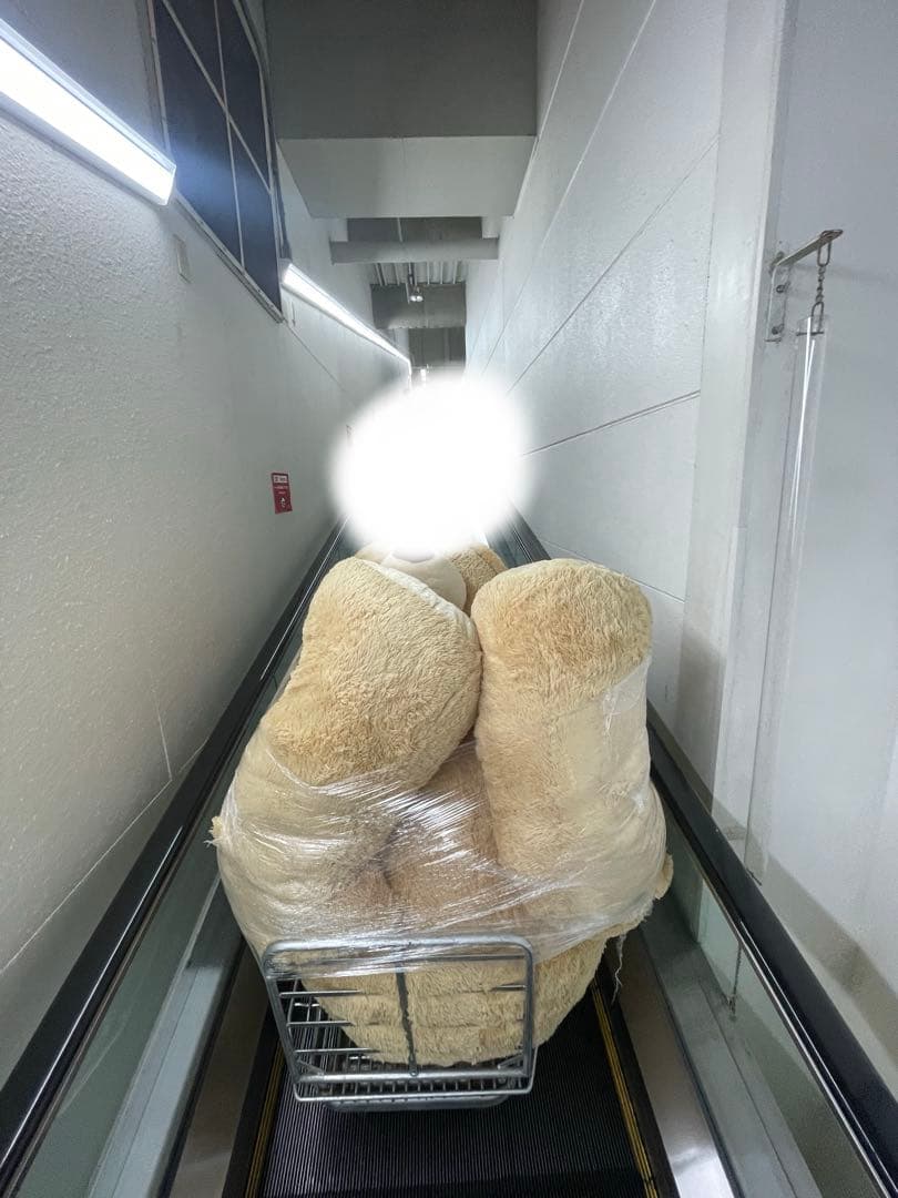 腹筋太郎　再出品クマのぬいぐるみ