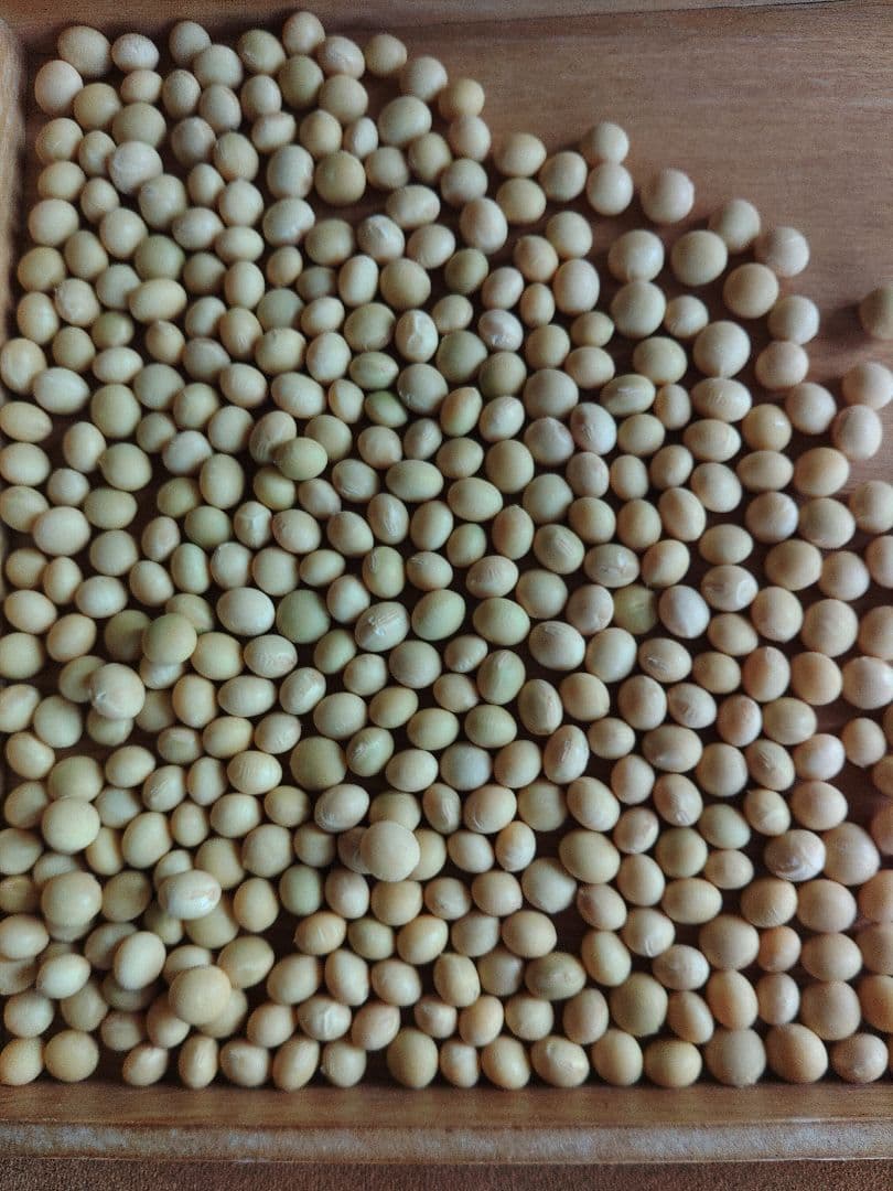 令和7年産北海道産大豆10k 農薬・化学肥料・除草剤栽培期間中不使用