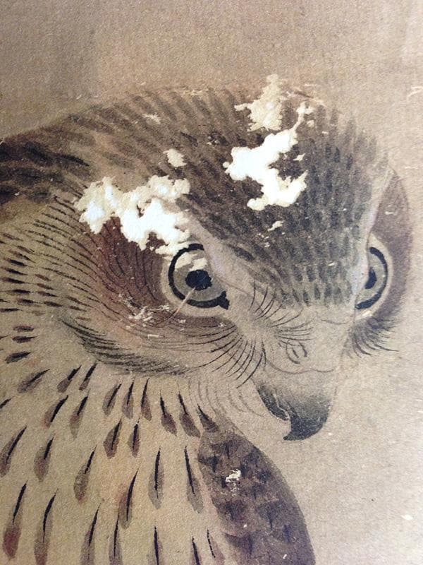 ★古美術！　曾我蕭白(曽我蕭白) 朱印 [ 暉一 ] 鷹と蘭図