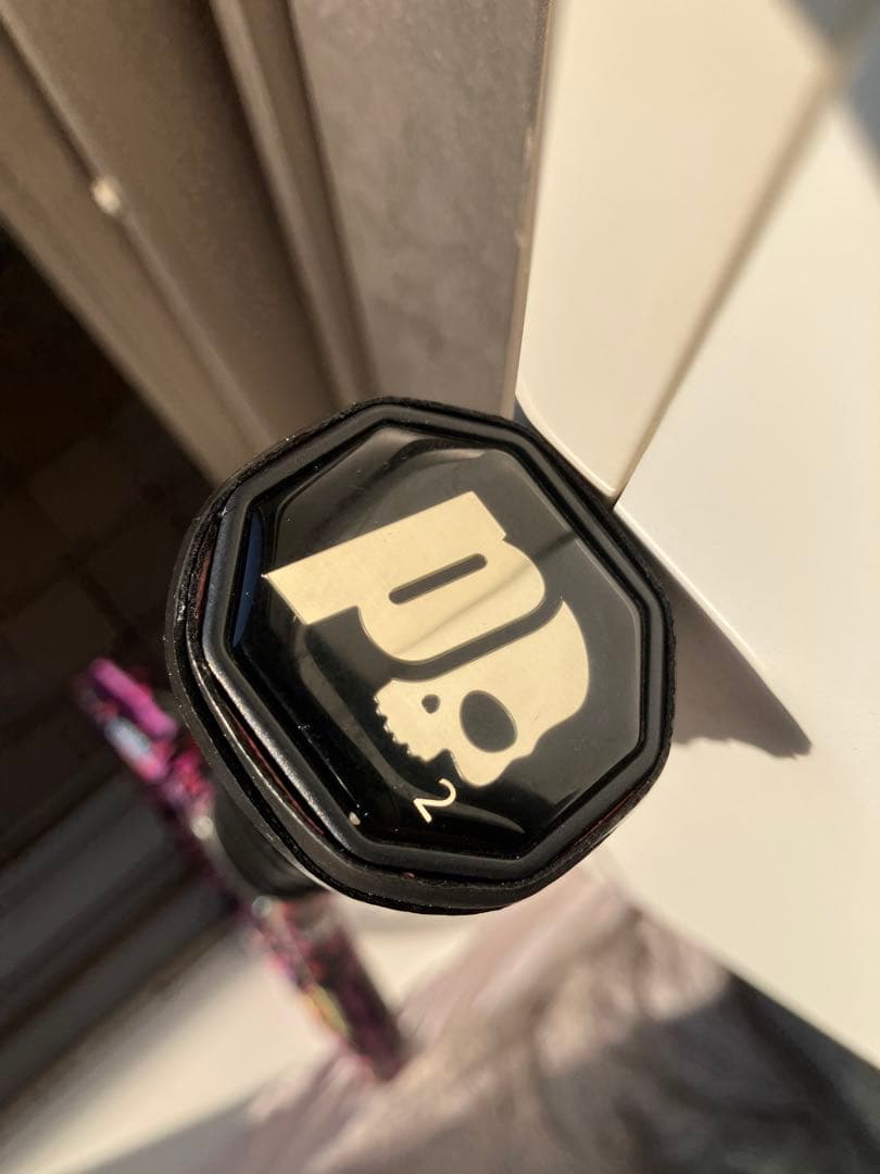 国内正規品　美品限定　プリンス　ハイドロゲン　ビースト100 レディマリー　G2