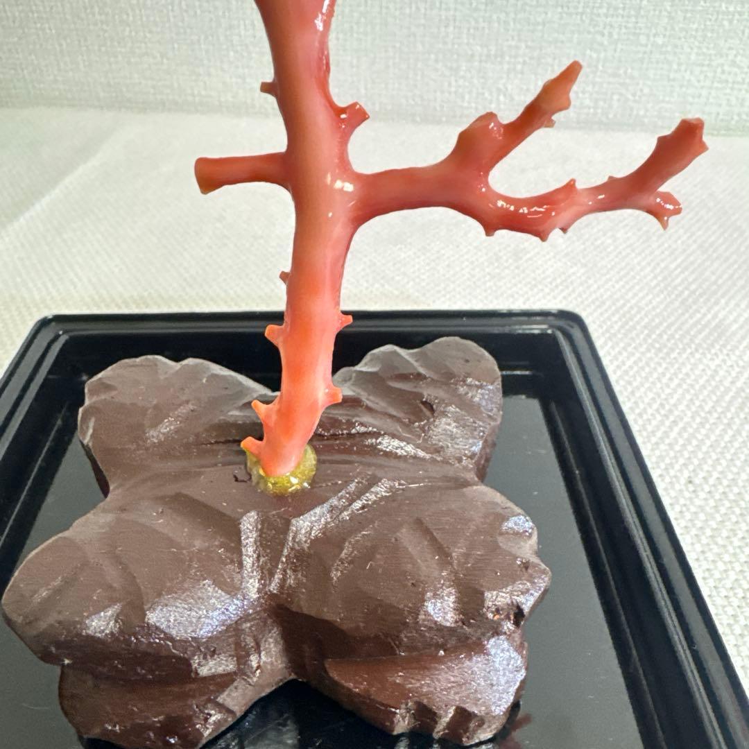 赤珊瑚 サンゴ 珊瑚 置物