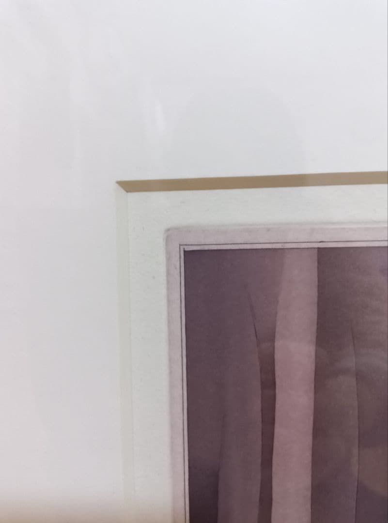 さ*な様 ジャン=ミッシェル　フォロン　版画