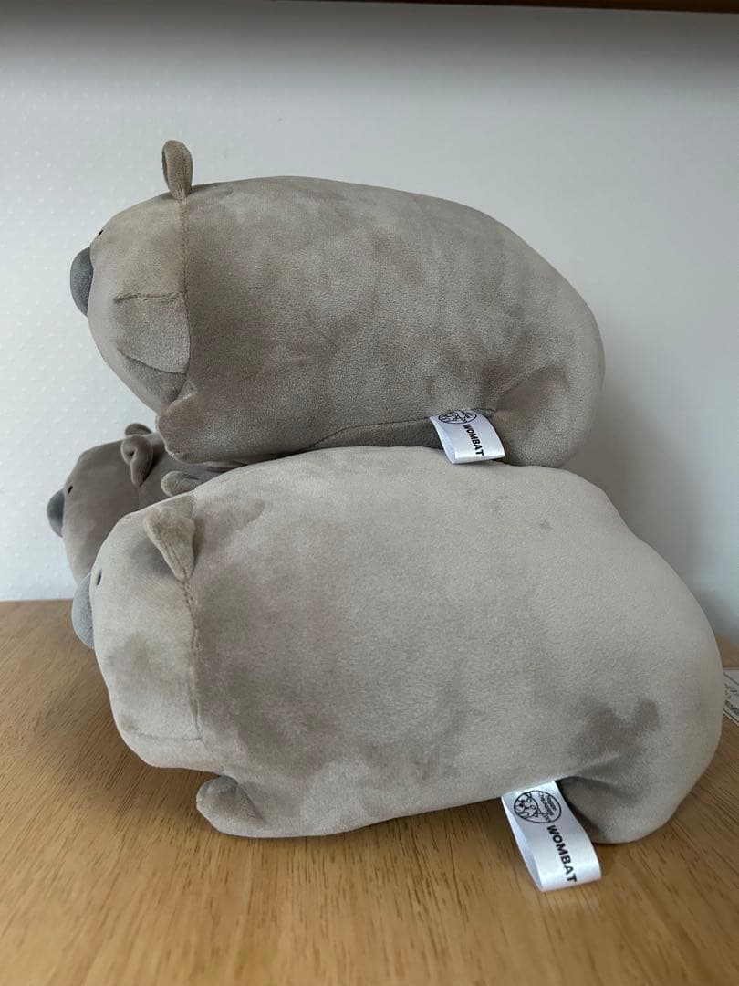 茶臼山動物園　ウォンバット　ぬいぐるみ