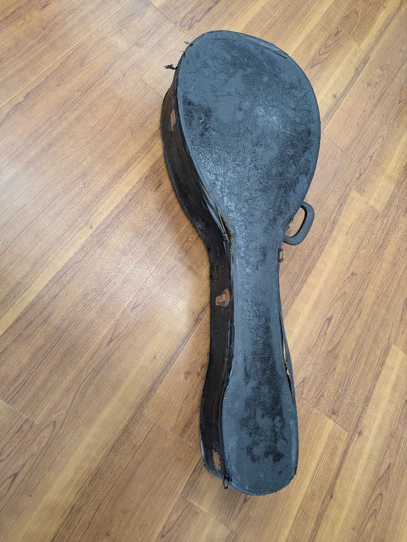 マンドセロ(マンドチェロ/マンドロンチェロ) ケース付き