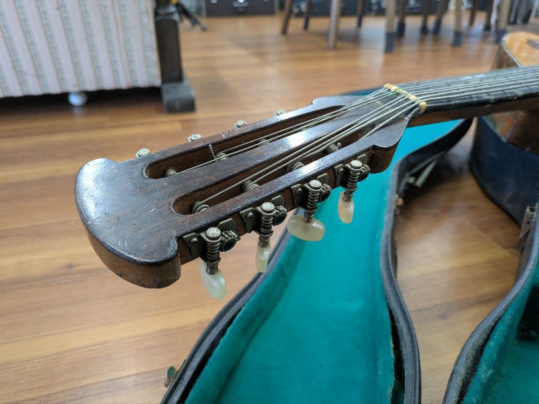 マンドセロ(マンドチェロ/マンドロンチェロ) ケース付き