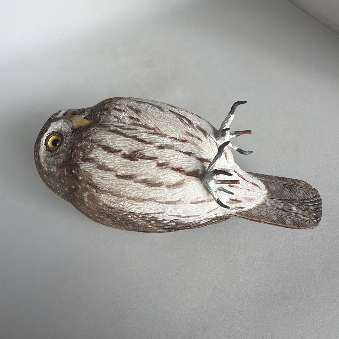 スズメフクロウ　木彫りの野鳥　 野鳥彫刻　バードカービング