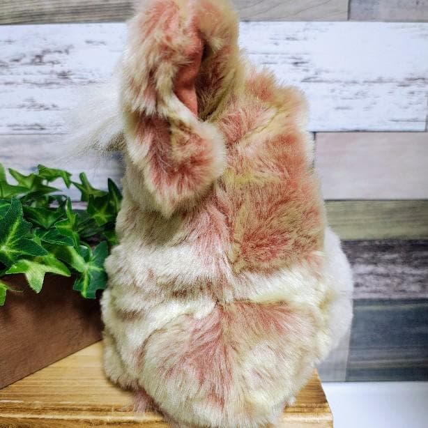 ファービー2　クランベリークッキー　青目　英語版 furby2 #14