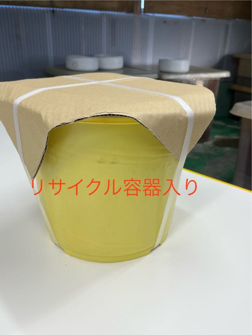 紀州 種抜き白干し梅 無添加　無選別　10kg