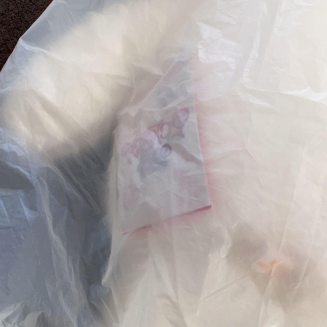 StrayKids SKZ 5clock テディベア ぬいぐるみ ヒョンジン