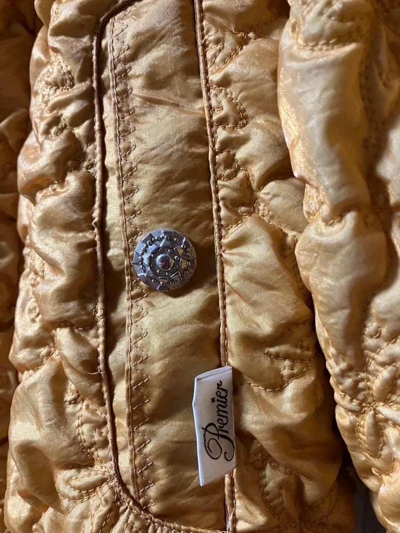 レディーススキーウェア上デサント下ミズノセット