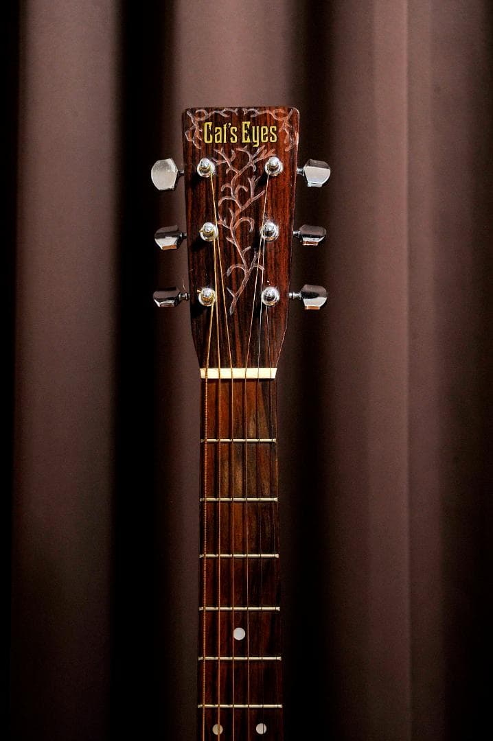 ★彫刻ギター　Cat's Eyes CEシリーズ　舞台にストリート演奏とオブジェ