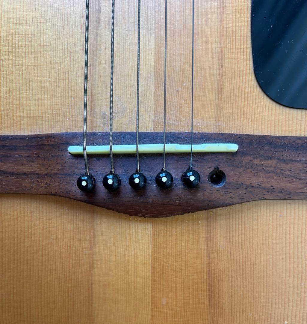 Fender starcaster nat エレアコ ギター