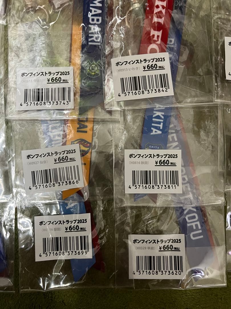 北海道コンサドーレ札幌　2025シーズンホームゲームボンフィン18試合セット