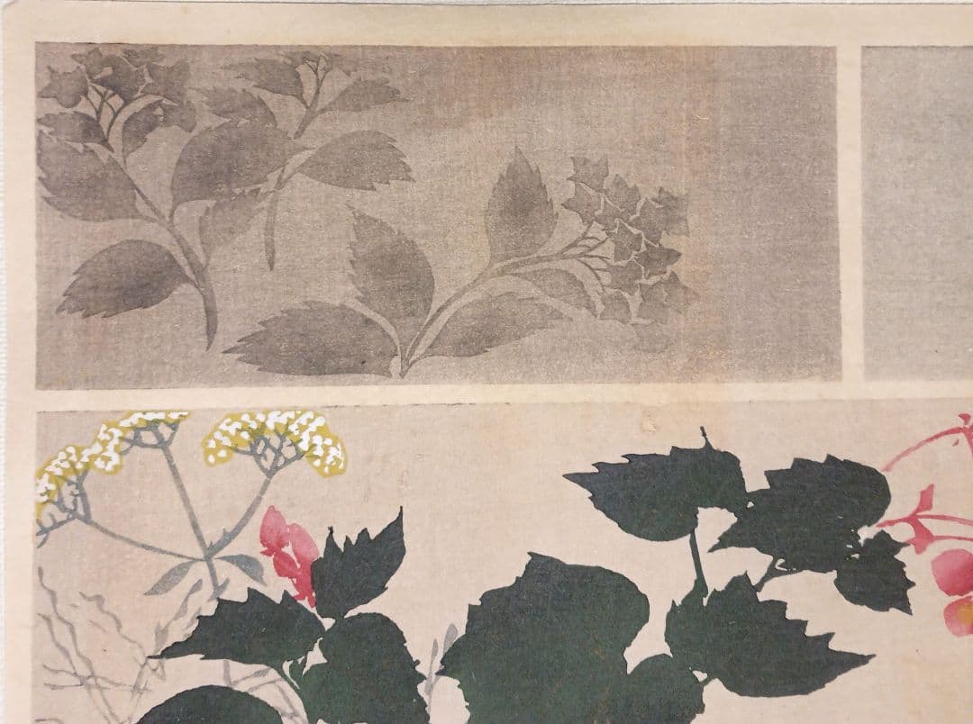 琳派図案版画（色摺版画)、作者不詳、明治後期～昭和初期出版