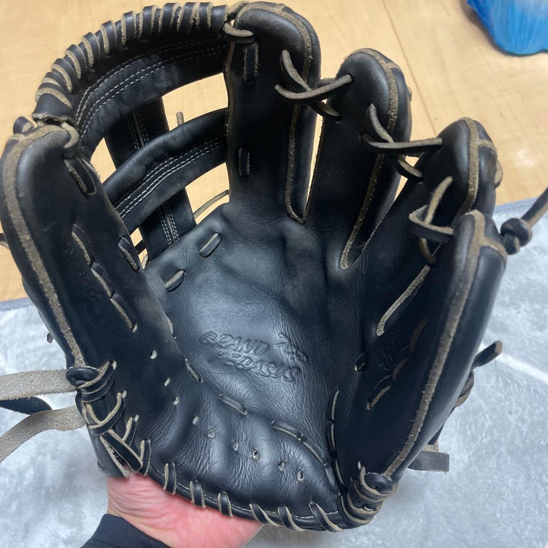 ワールドペガサス 内野用