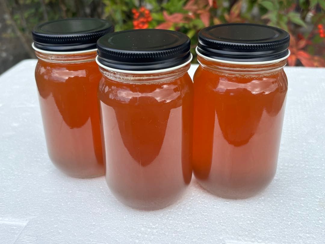 日本蜜蜂蜂蜜　純粋生ハチミツ　非加熱無加工無調整　百花蜜