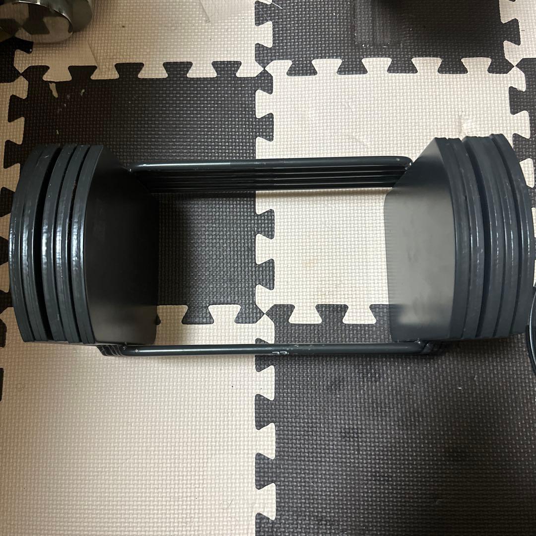 FILEDOOR 22kg-40.5kg プレートのみ　計23kg 2個セット