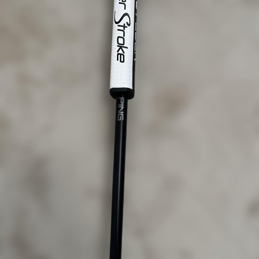 PING ANSER 2D パター