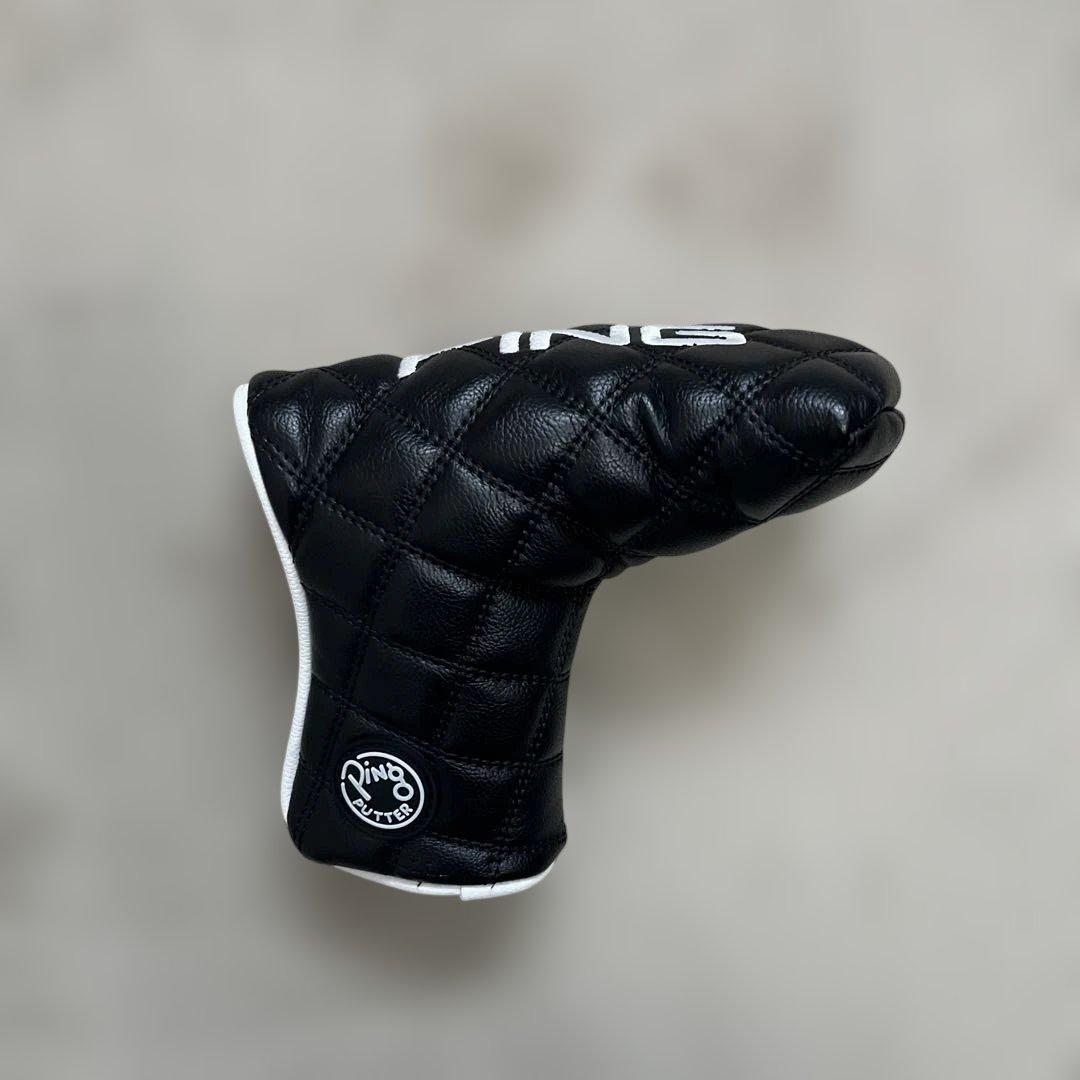 PING ANSER 2D パター