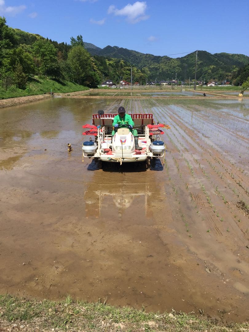 令和７年産米☆☆いのちの壱☆酵素散布米 ☆玄米 いのちの壱 １０キロ 精米無料